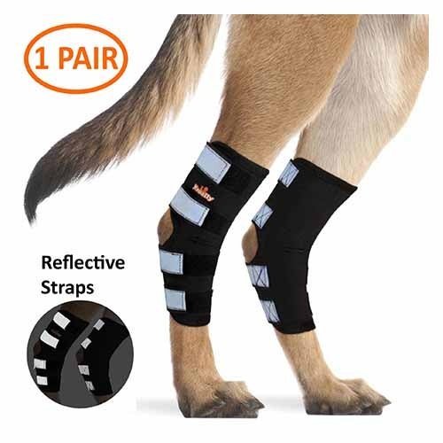 Dog wearing black leg braces with reflective straps, text reads "1 Pair" and "Reflective Straps."